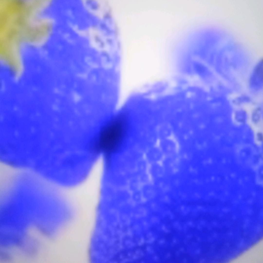 169开心荷