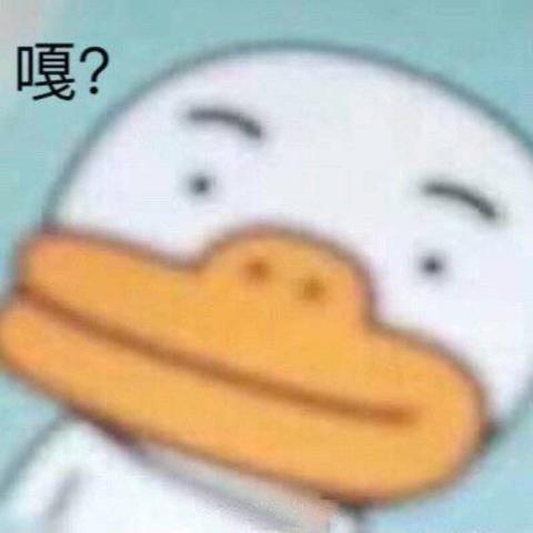 仙人掌2.0🌵