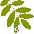 泡泡