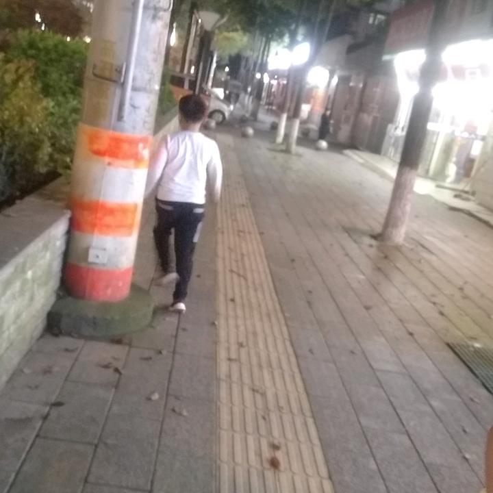 田里的禾苗