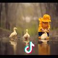 JingSen