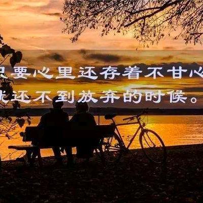 盖乐乐