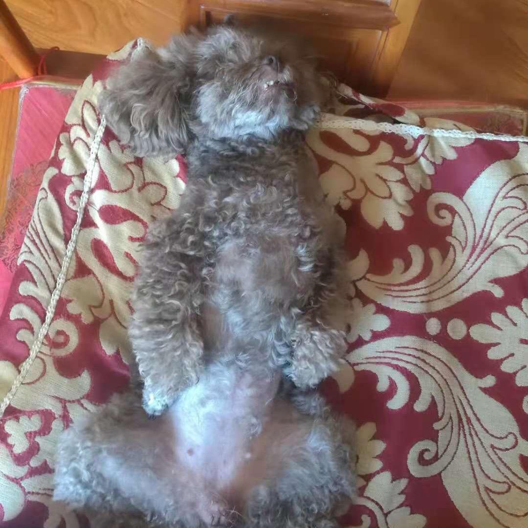 冰之阿修罗