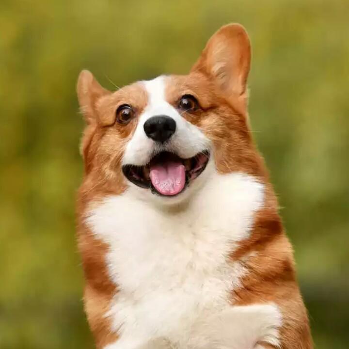 。。。