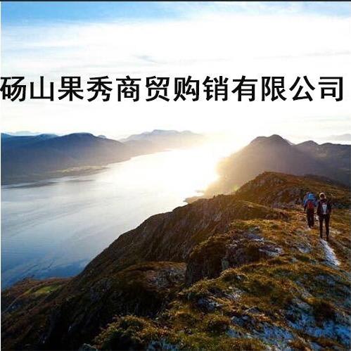 砀山永哥水果
