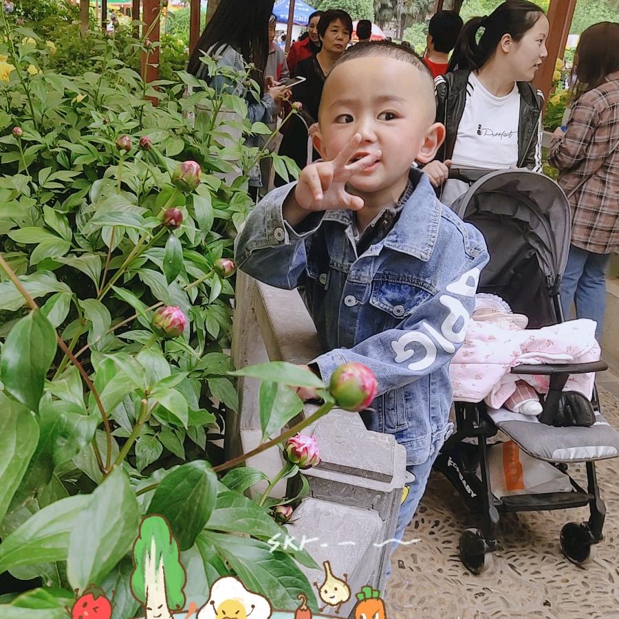 小歌