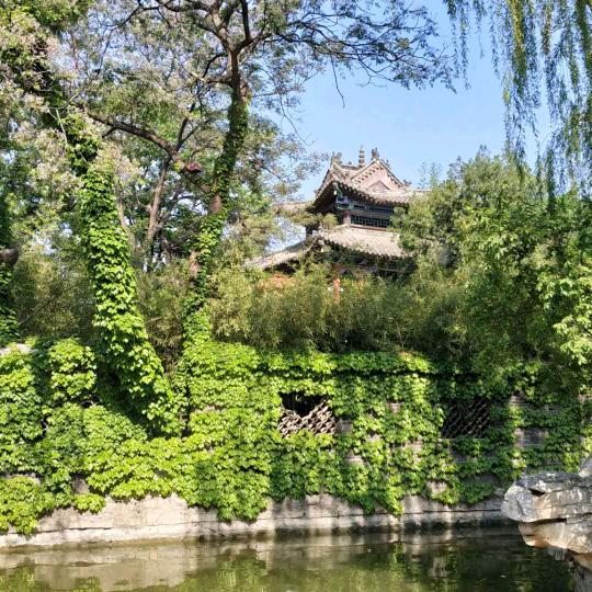 女神，待我身高一米八就娶你