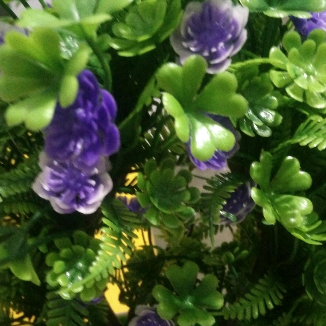 思思