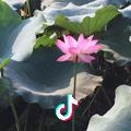 冯   辉