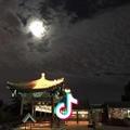 玻璃纤维筋网片复合材料实体厂家