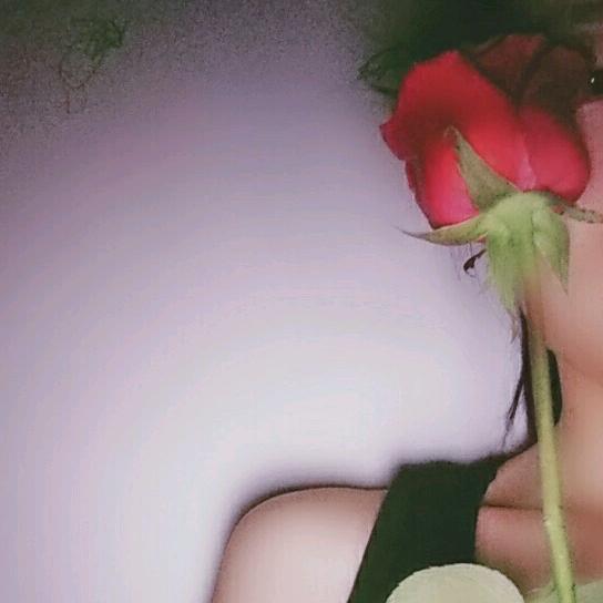🌻