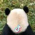 梁