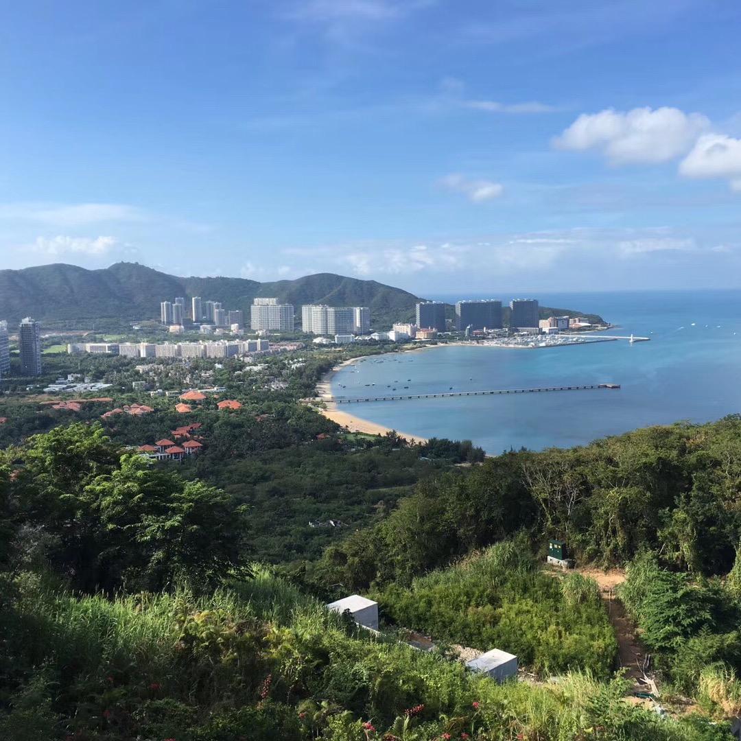 沙漠之舟🌻🌻🌻