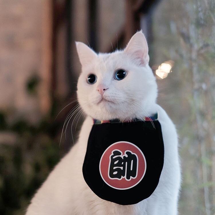 坝上的水不转弯