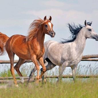 奋斗少年！741138654616