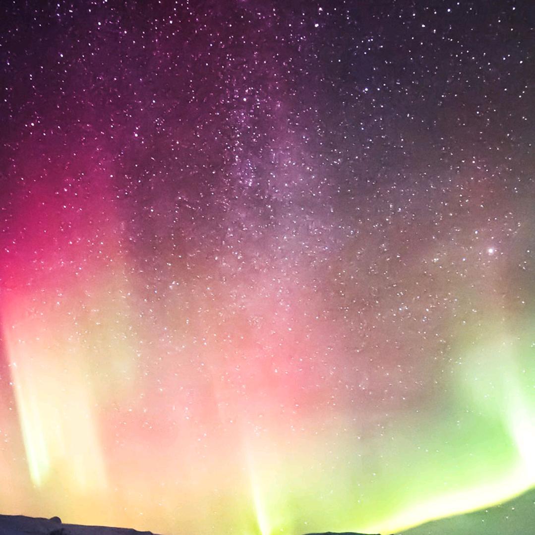 长点心吧，海燕呐