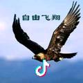 潇洒的一天