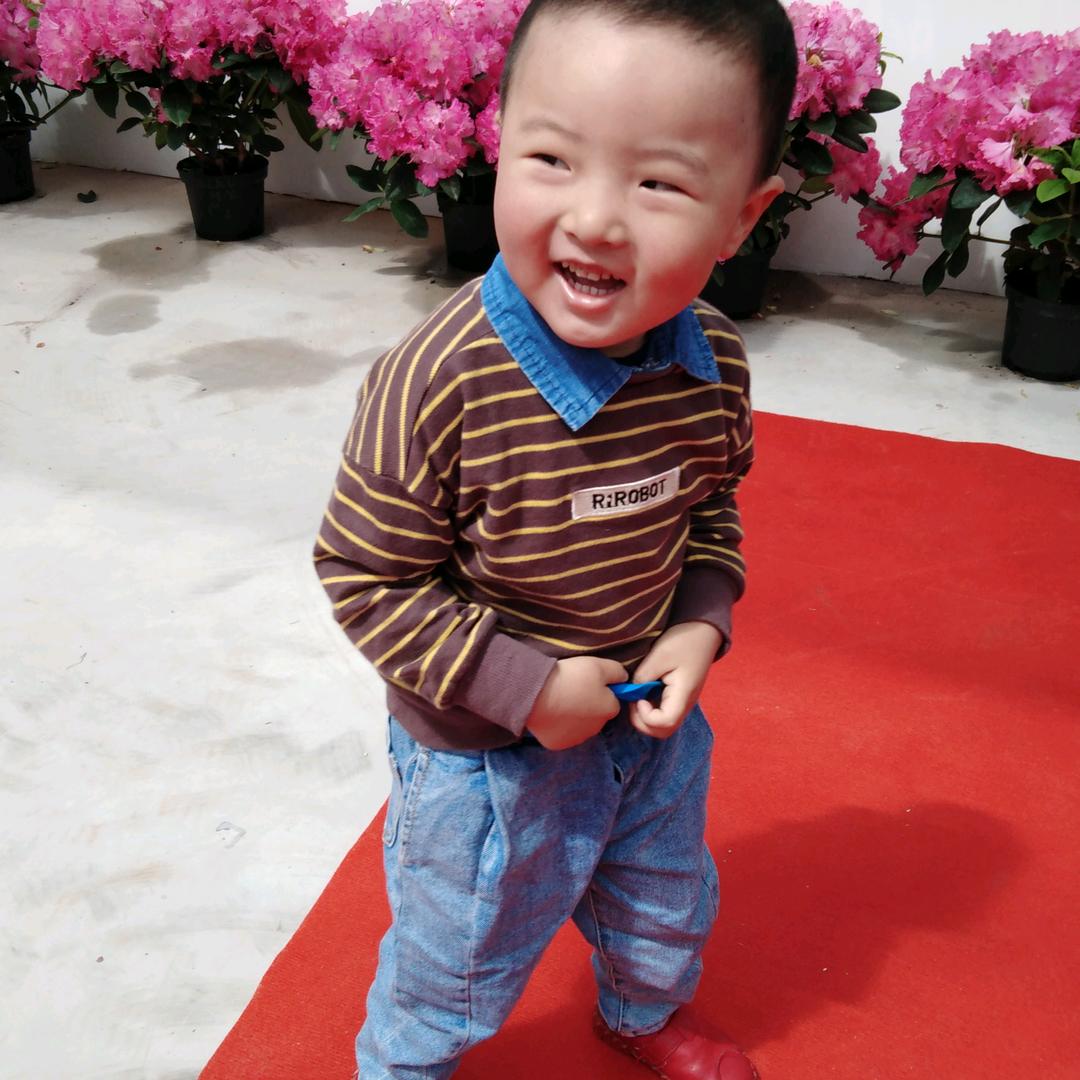 我是一只小小鸟