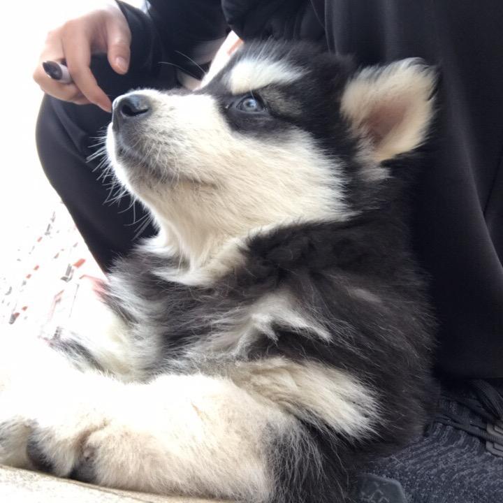 漂泊