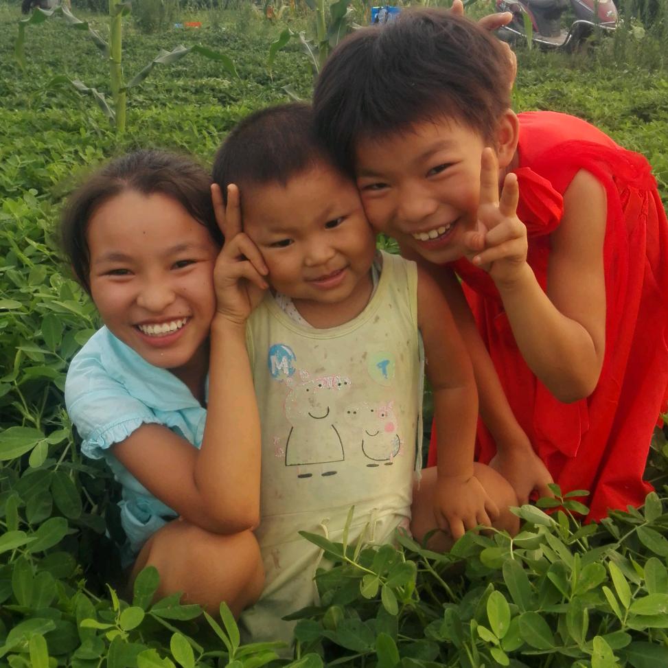 朋姐脆皮香酥鸭