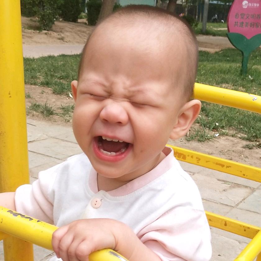 张家小爷的逗趣生活