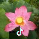 蓬莱区清运垃圾机械租赁建材销售沙水泥石子