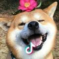 简约鹏的家