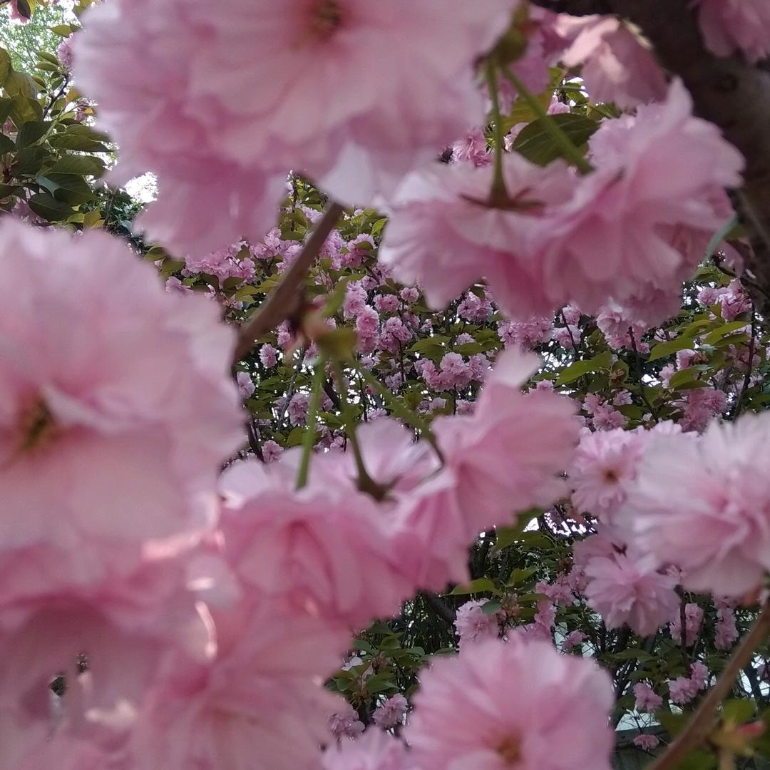 用户931845948289奋斗