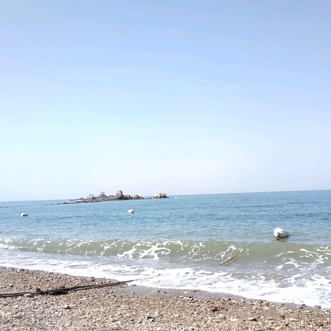 你说了不算，我说了更不算！