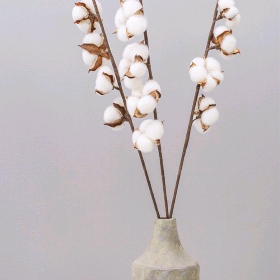 扶风布衣（一一）