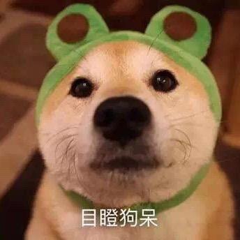 白云千载空悠悠