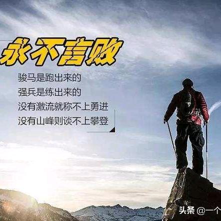 傻鸟