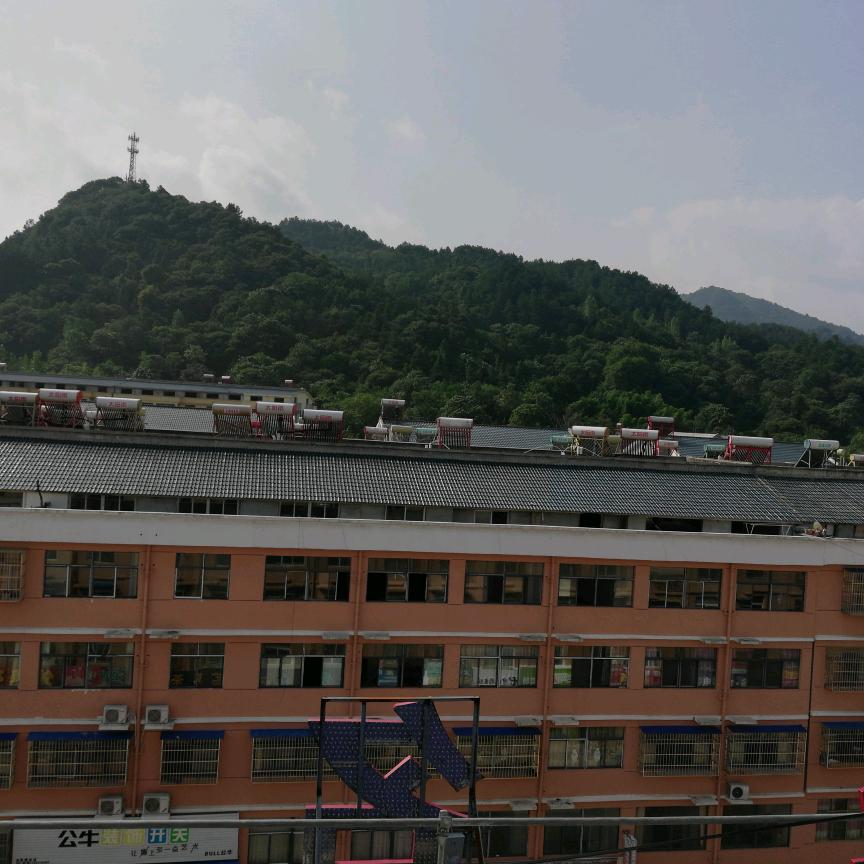 大森林