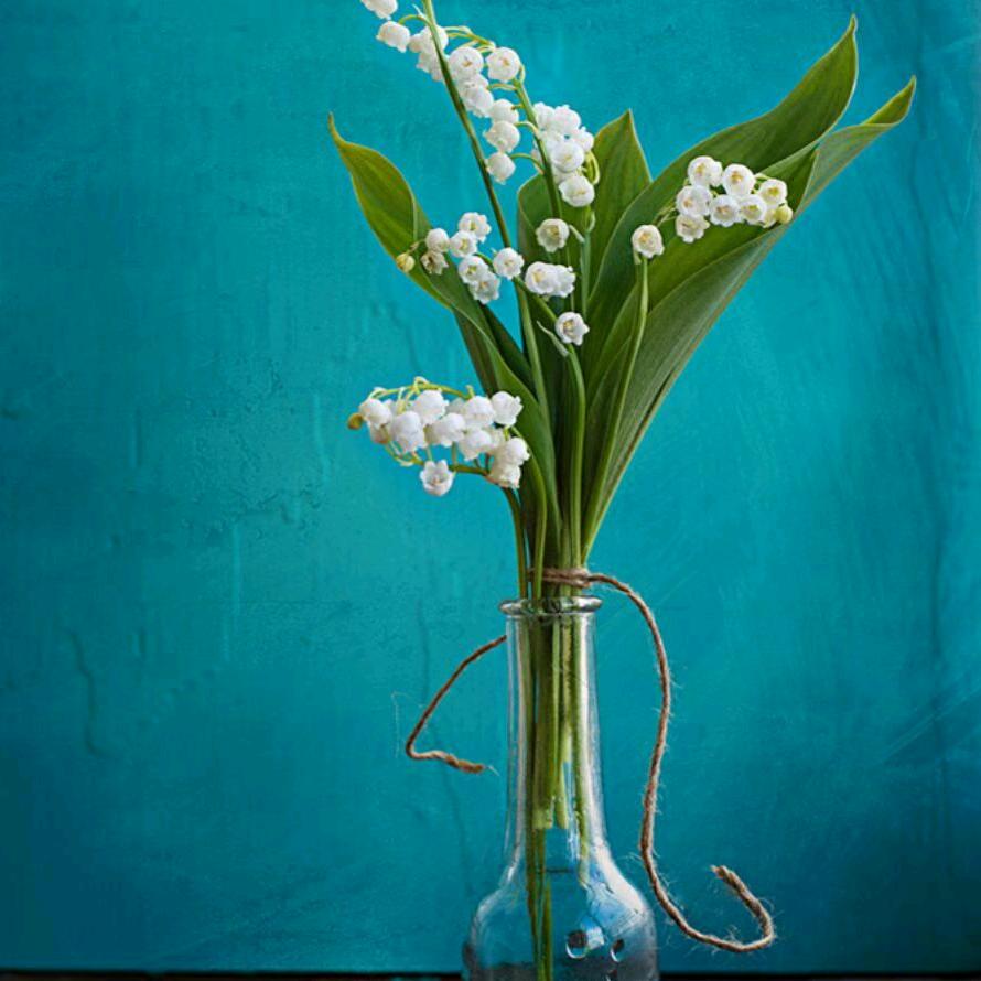 爱就一个字《家》