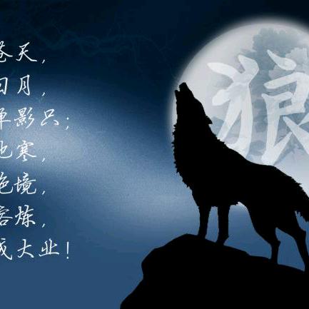 随遇而安