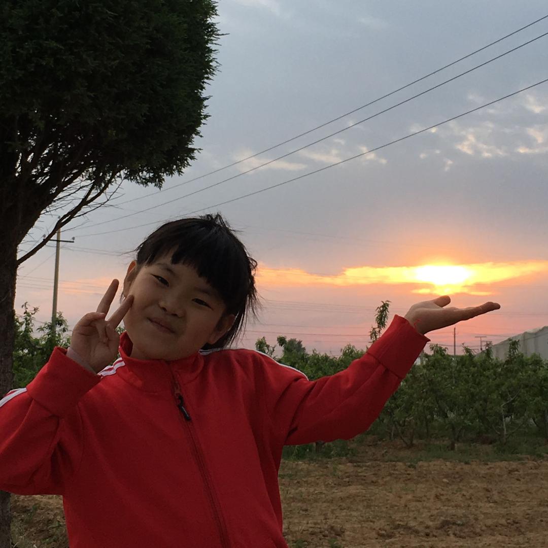 小梧桐🌹