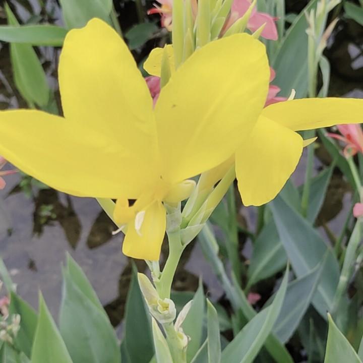 …^0^塑造