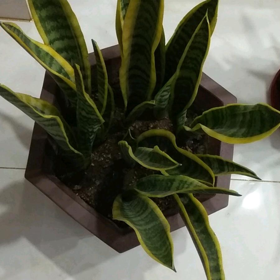 大家好