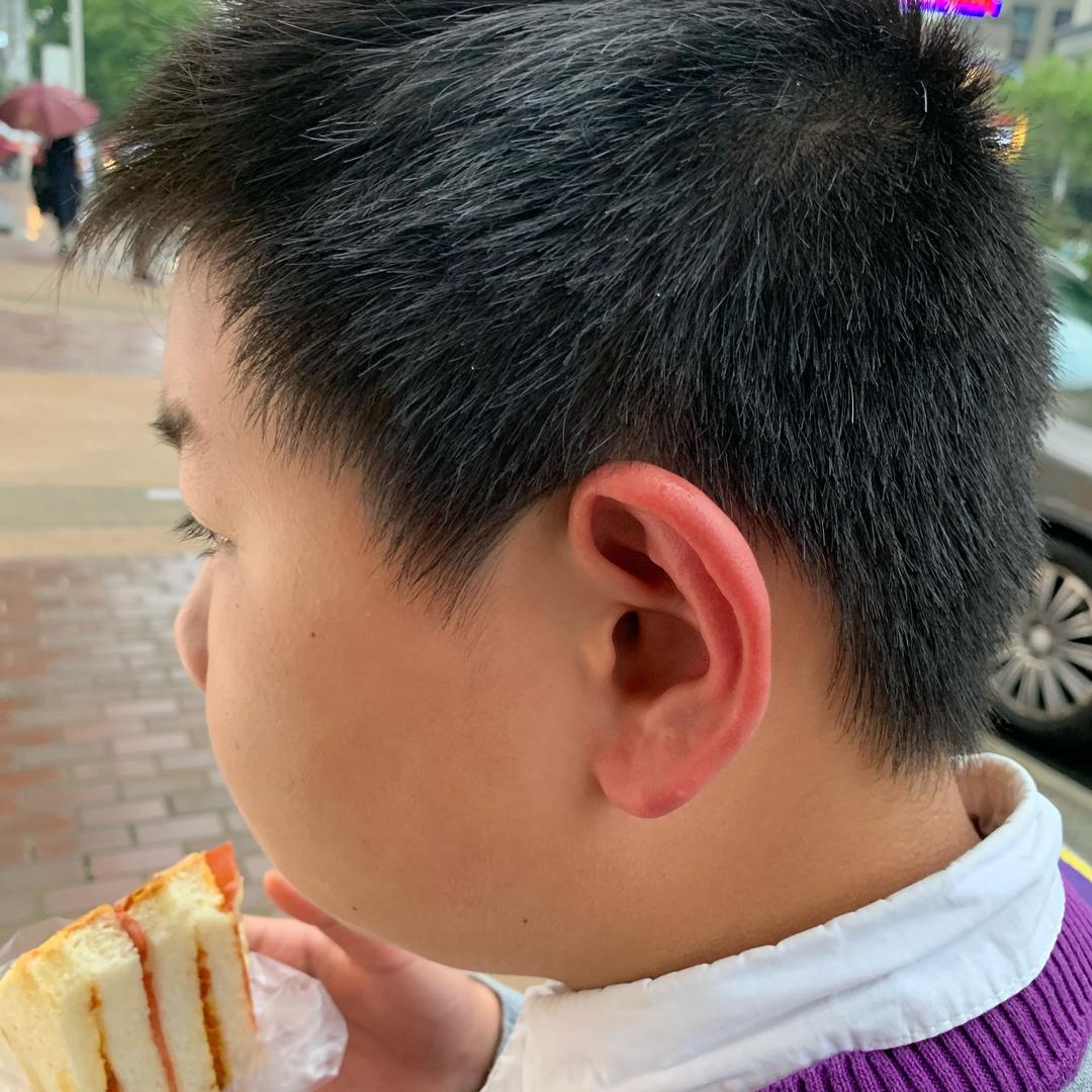 红耳朵