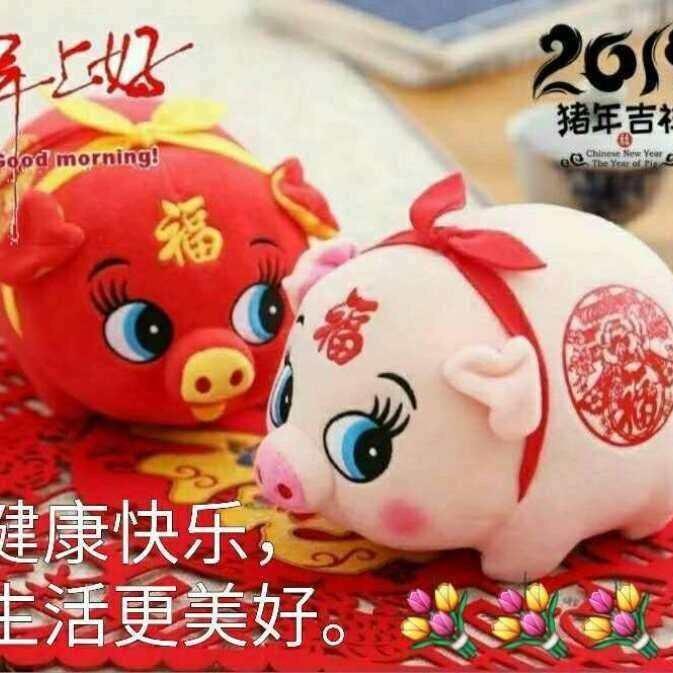 本无心咋变心