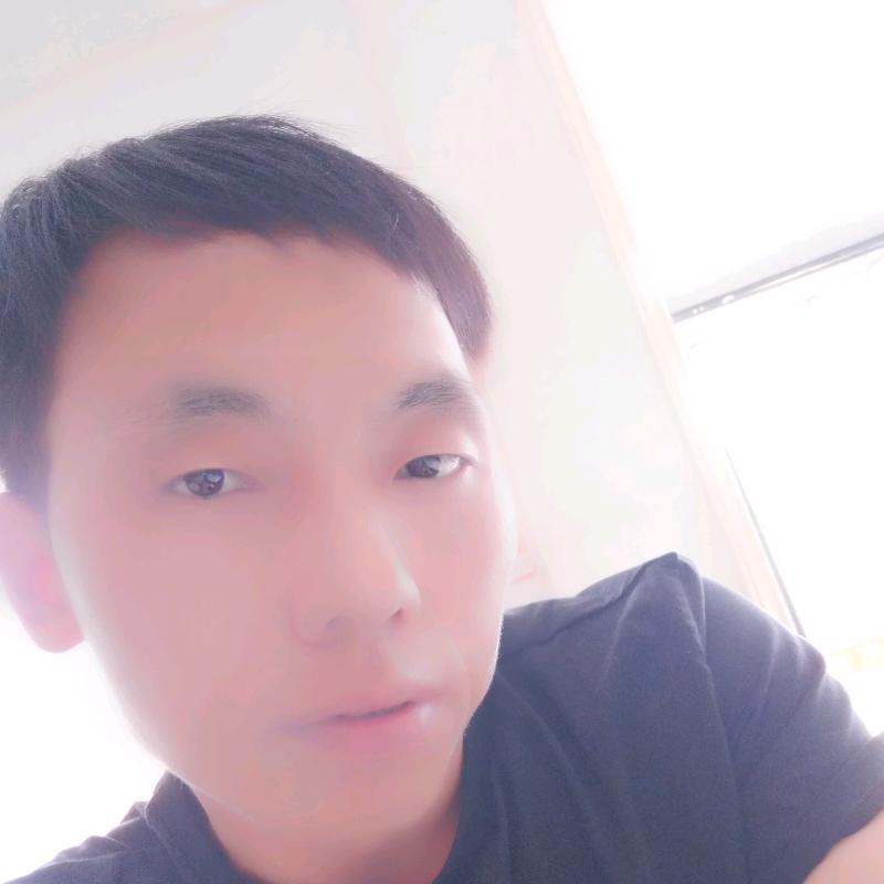 zm追梦