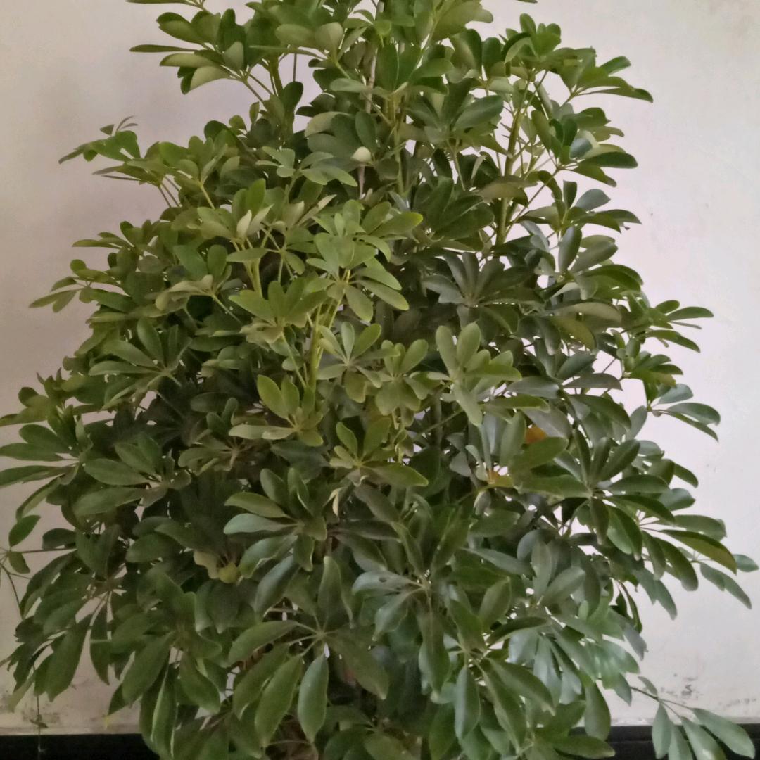 过往云烟。。。