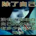 聪哥