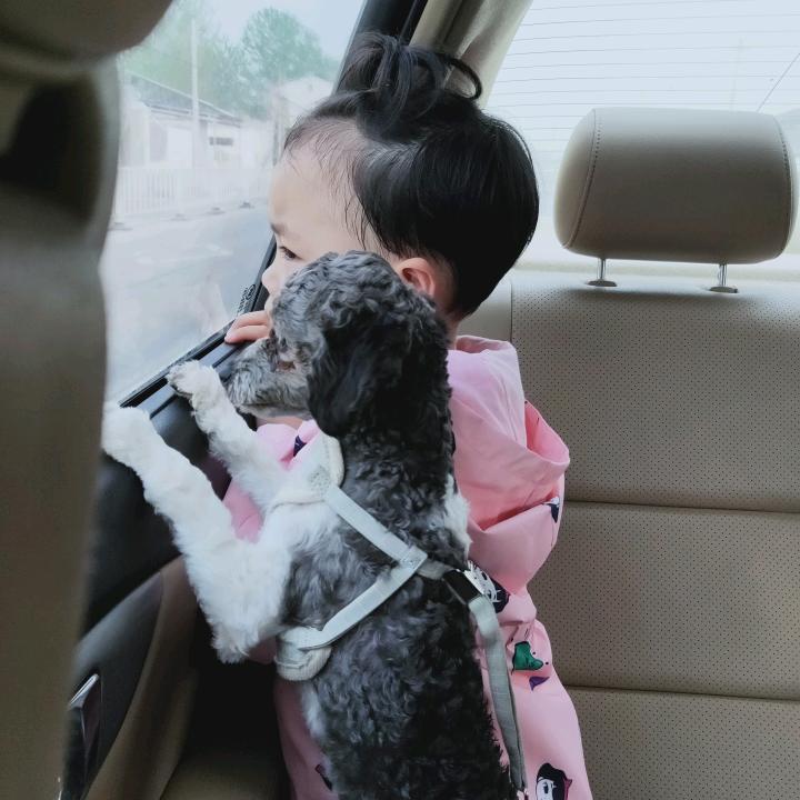 开心的小牛和小猴