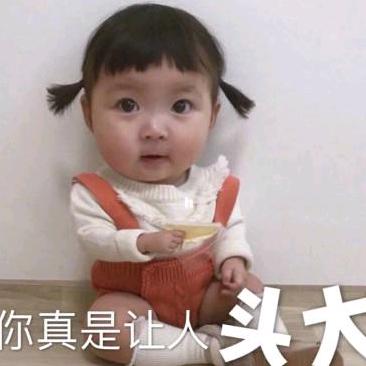 wyzdz不吃鱼的猫