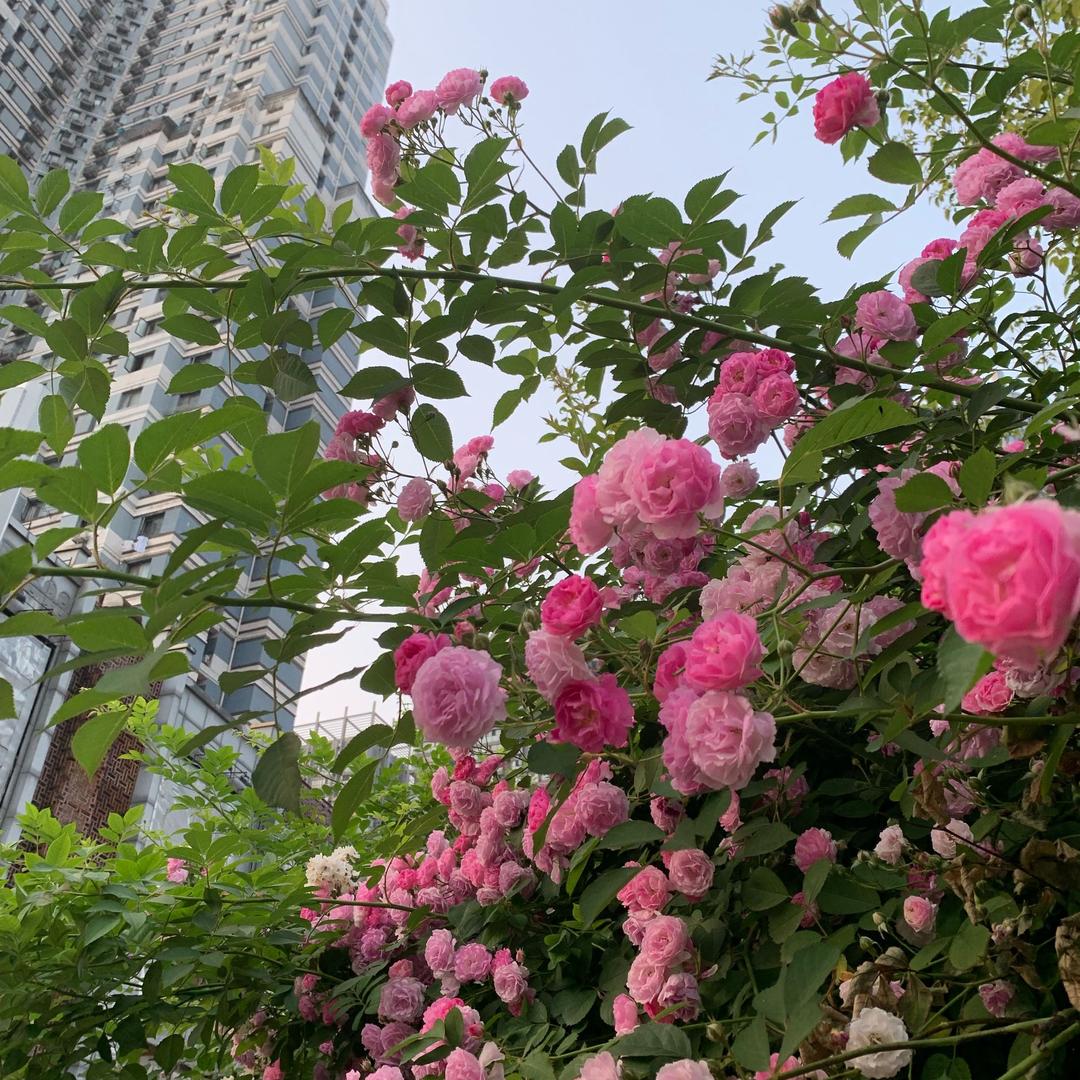 你你你你你你你