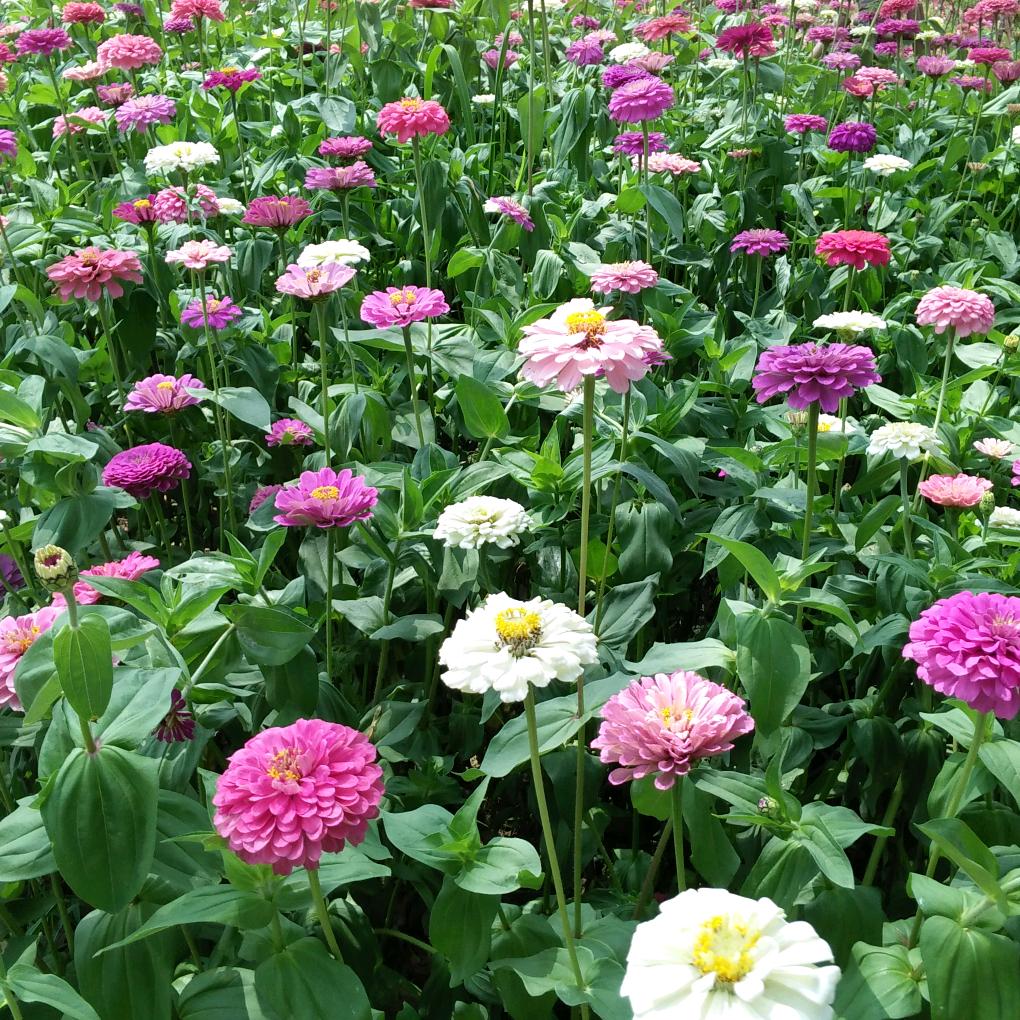 缘分让我认识了你