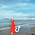 清浅
