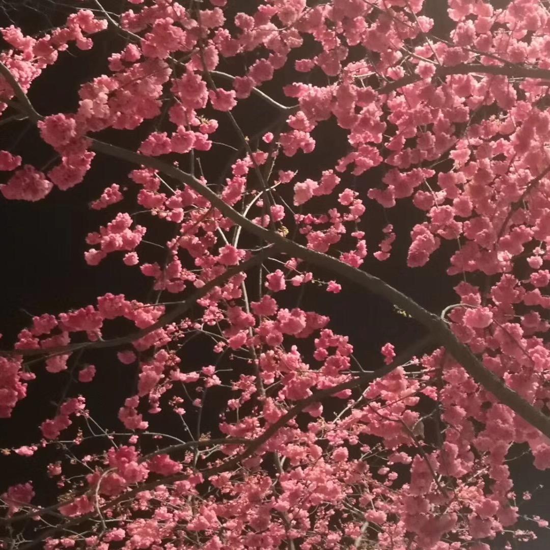用户4088669716276
