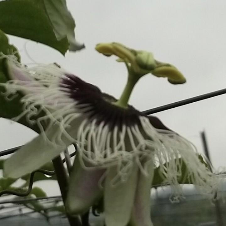 苦中作乐用户2996816482096